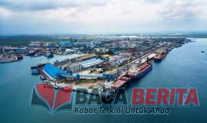 Pelindo Multi Terminal Belawan Catat Kinerja Positif hingga Agustus 2026